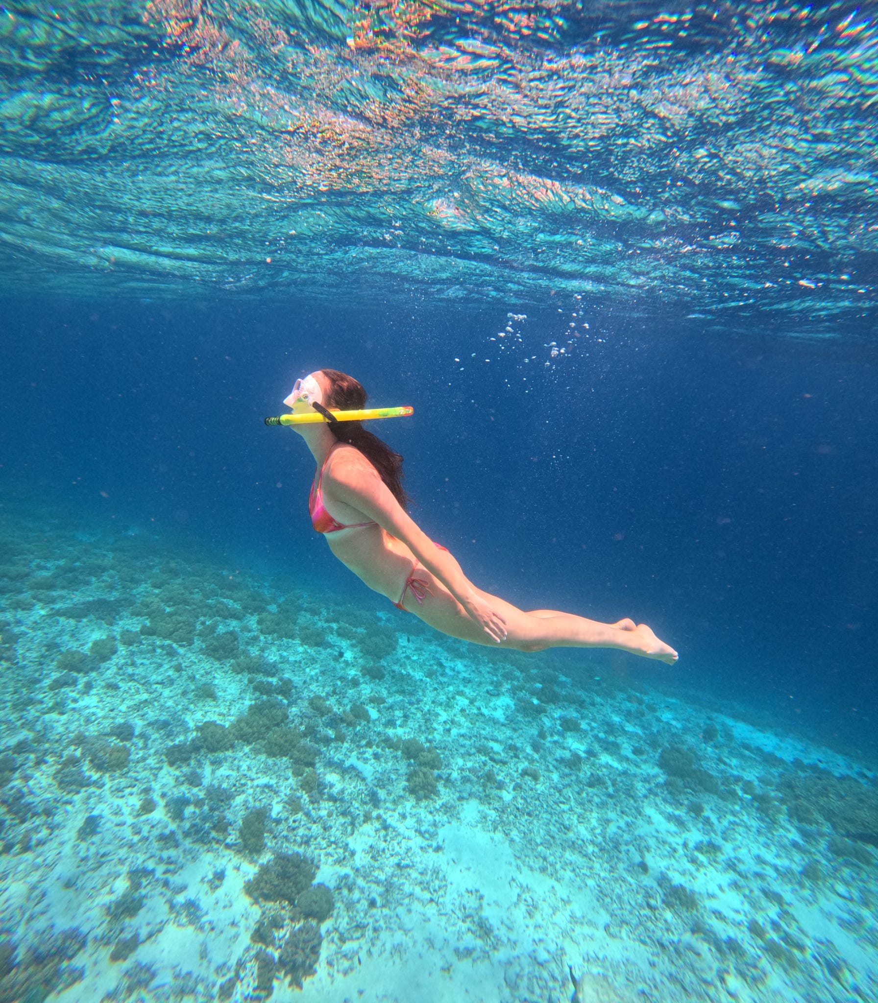 Gili Snorkel 26