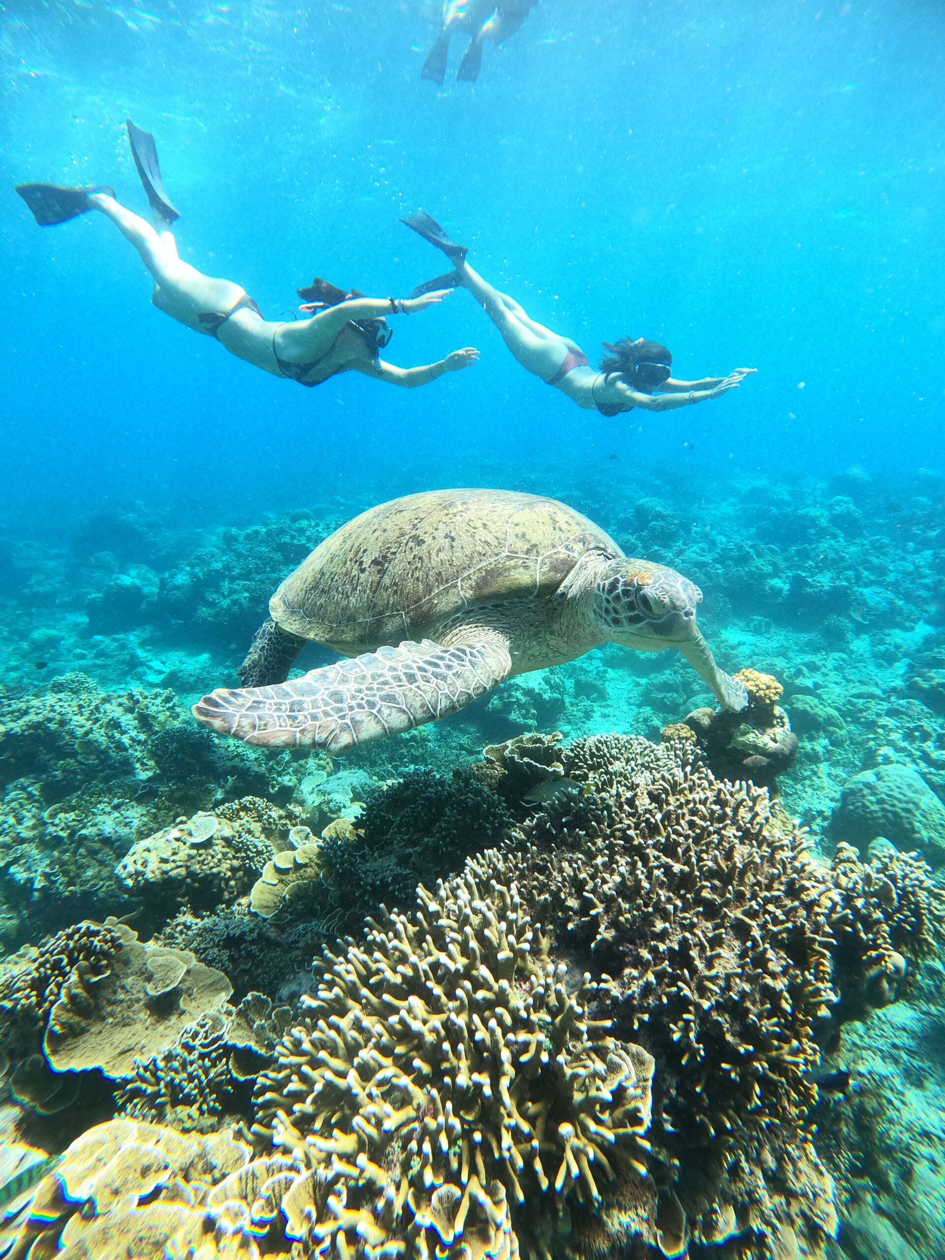 Gili Snorkel 19