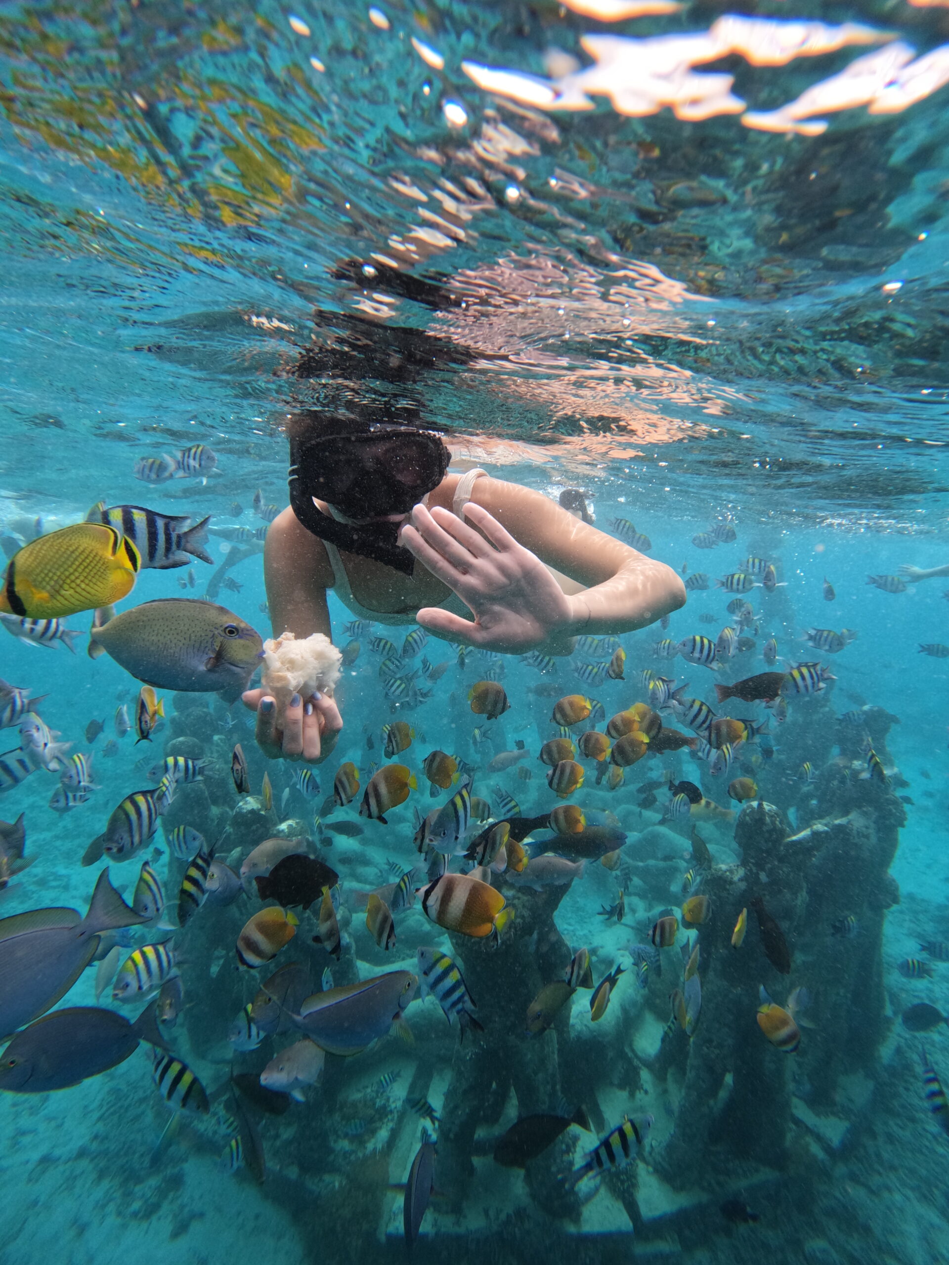 Gili Snorkel 12