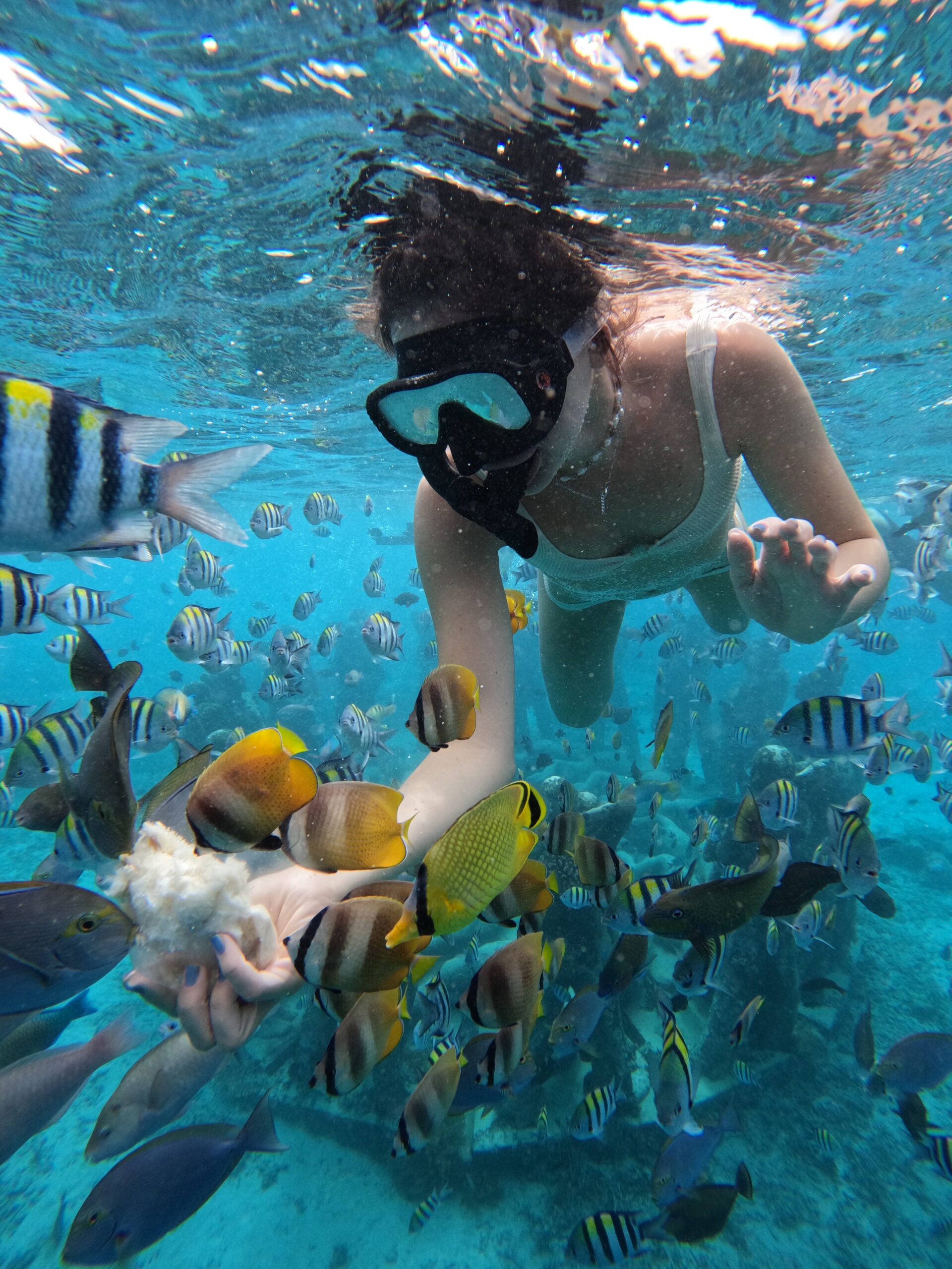 Gili Snorkel 11