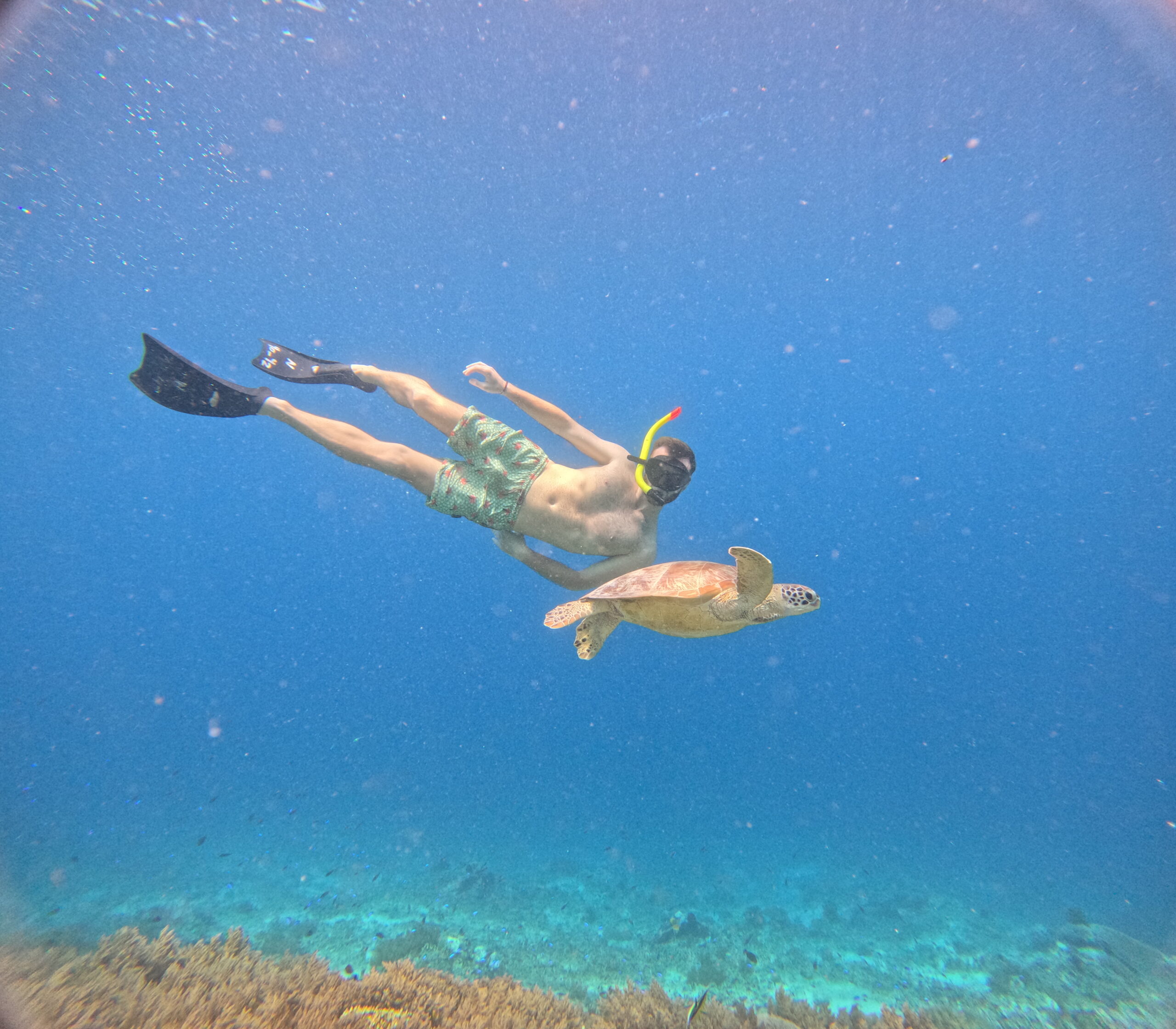 Gili Snorkel 8