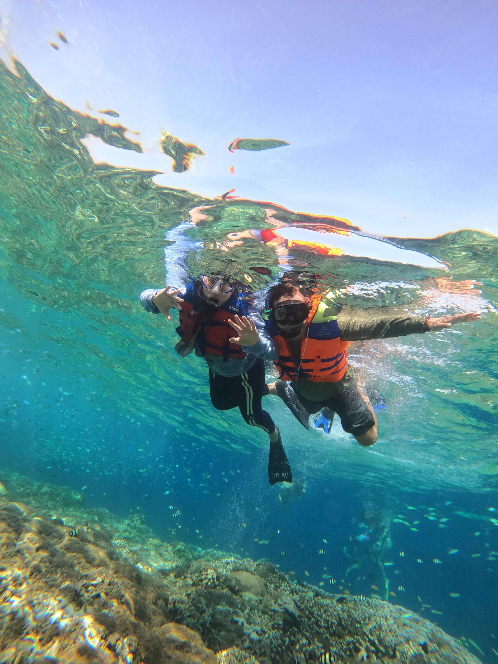 Gili Snorkel 7