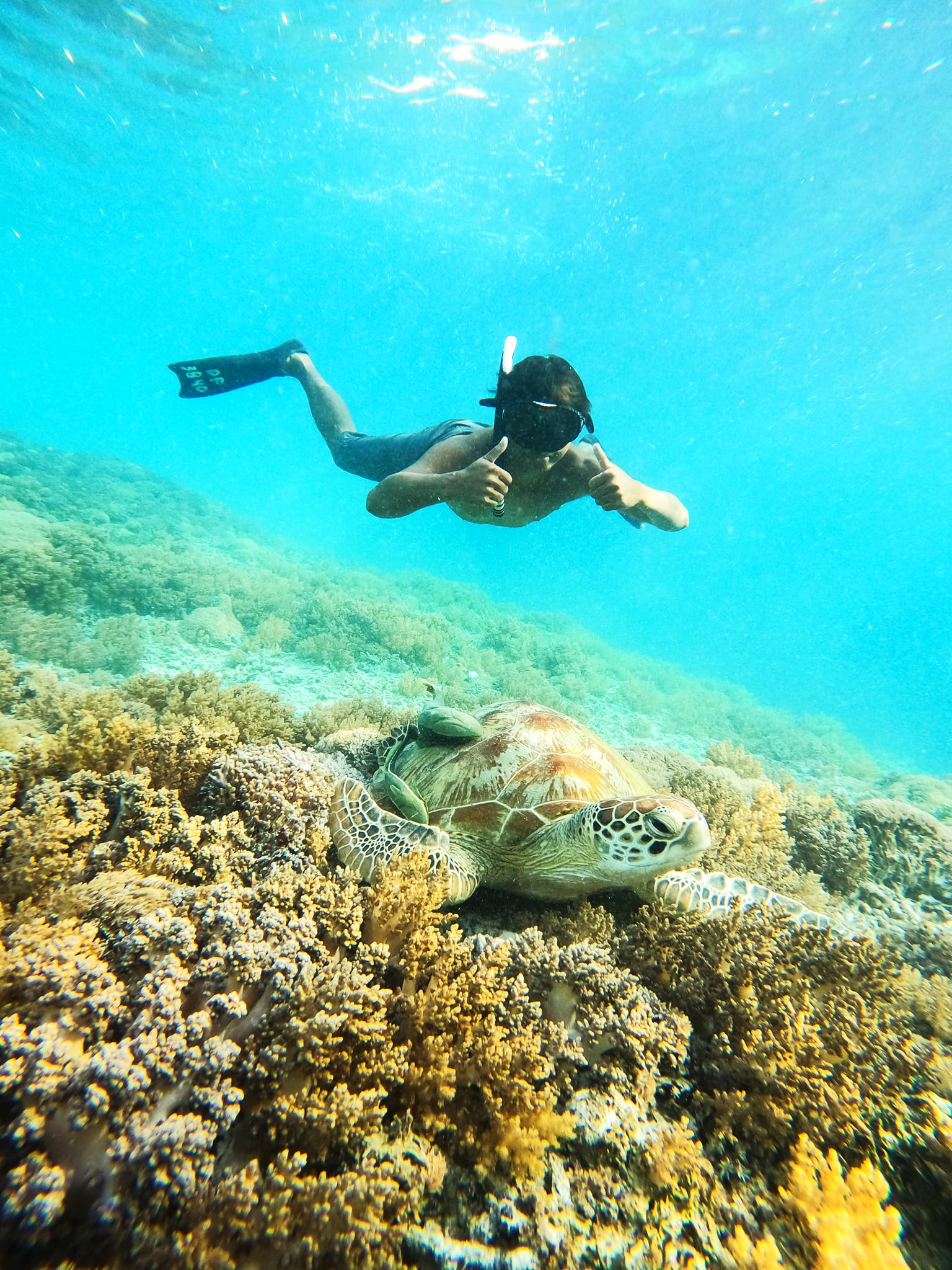 Gili Snorkel 5